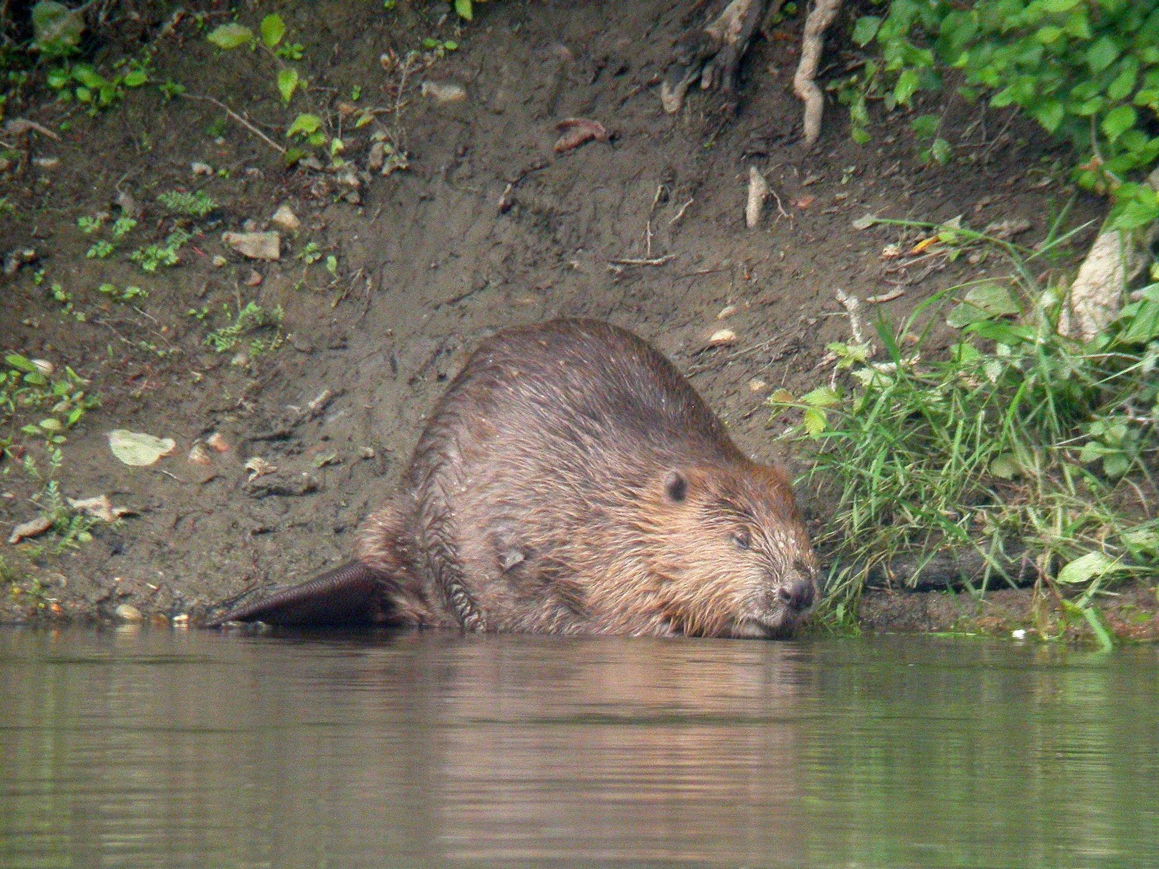 À la découverte des dents de la Loire